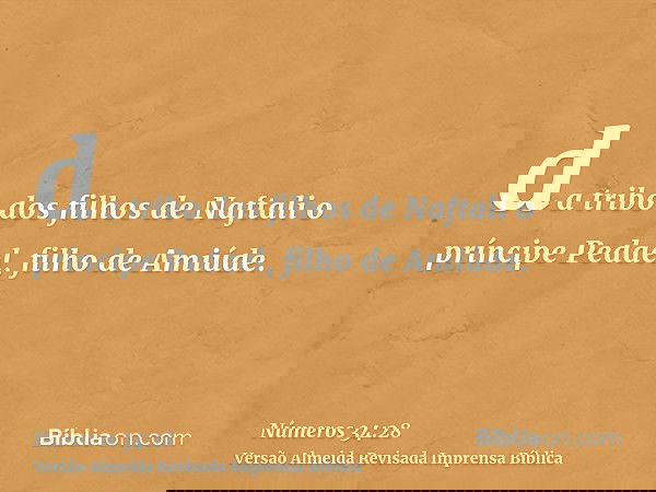 da tribo dos filhos de Naftali o príncipe Pedael, filho de Amiúde.