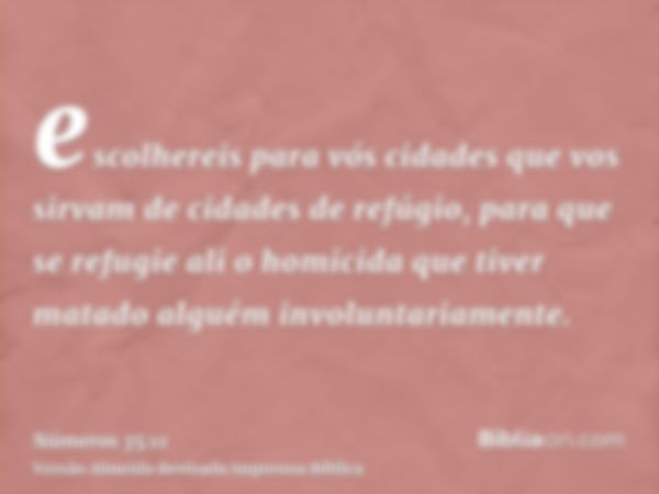 escolhereis para vós cidades que vos sirvam de cidades de refúgio, para que se refugie ali o homicida que tiver matado alguém involuntariamente.