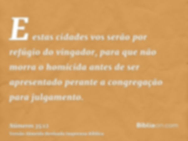 E estas cidades vos serão por refúgio do vingador, para que não morra o homicida antes de ser apresentado perante a congregação para julgamento.