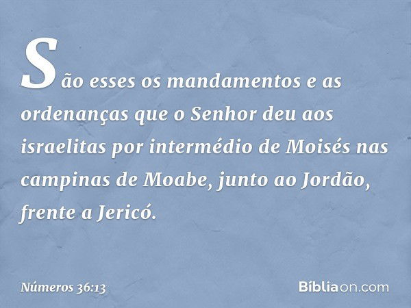 São esses os mandamentos e as ordenanças que o Senhor deu aos israelitas por intermédio de Moisés nas campinas de Moabe, junto ao Jordão, frente a Jericó. -- Nú