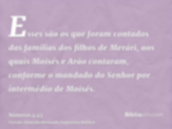 Esses são os que foram contados das familias dos filhos de Merári, aos quais Moisés e Arão contaram, conforme o mandado do Senhor por intermédio de Moisés.