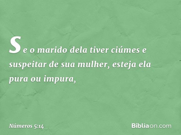 se o marido dela tiver ciúmes e suspeitar de sua mulher, esteja ela pura ou impura, -- Números 5:14