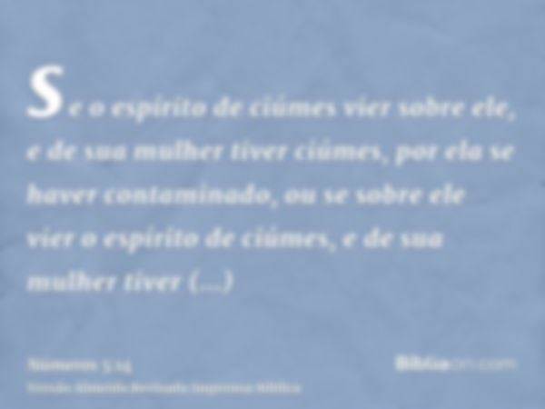 se o espírito de ciúmes vier sobre ele, e de sua mulher tiver ciúmes, por ela se haver contaminado, ou se sobre ele vier o espírito de ciúmes, e de sua mulher t