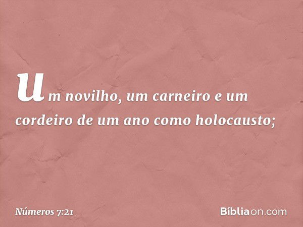 um novilho, um carneiro e um cordeiro de um ano como holocausto; -- Números 7:21