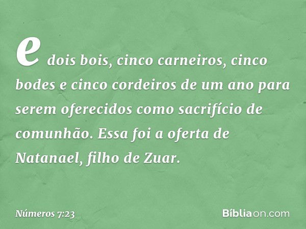 e dois bois, cinco carneiros, cinco bodes e cinco cordeiros de um ano para serem oferecidos como sacrifício de comunhão. Essa foi a oferta de Natanael, filho de