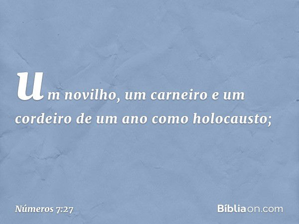 um novilho, um carneiro e um cordeiro de um ano como holocausto; -- Números 7:27