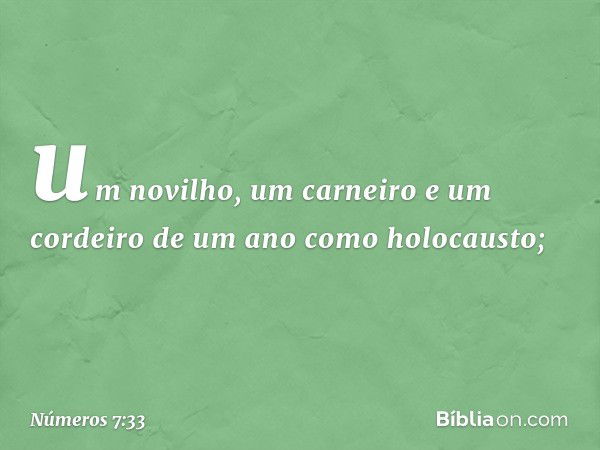 um novilho, um carneiro e um cordeiro de um ano como holocausto; -- Números 7:33