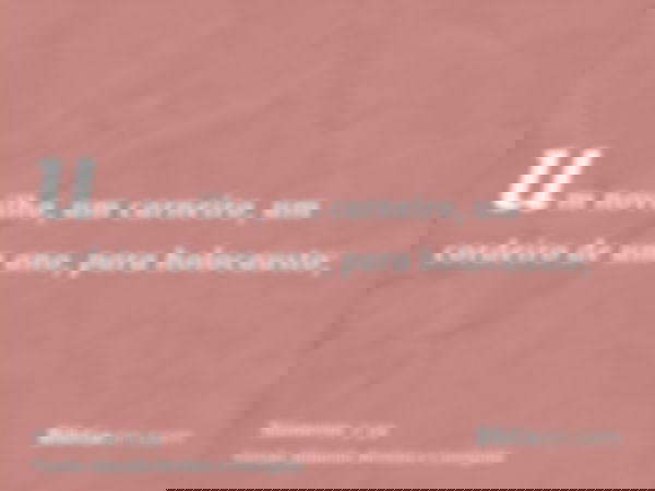 um novilho, um carneiro, um cordeiro de um ano, para holocausto;