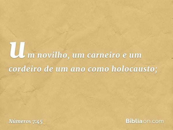 um novilho, um carneiro e um cordeiro de um ano como holocausto; -- Números 7:45