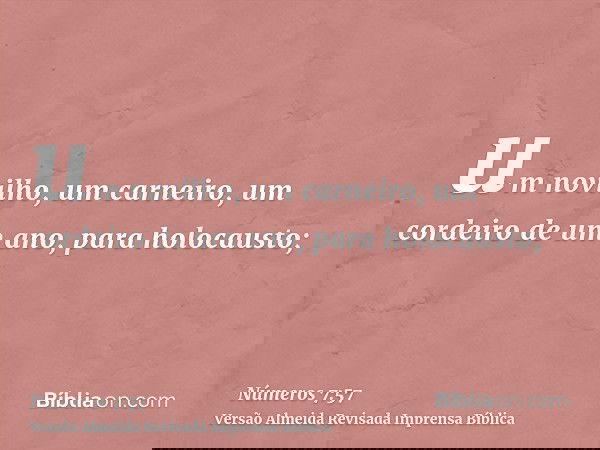 um novilho, um carneiro, um cordeiro de um ano, para holocausto;