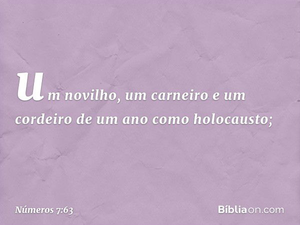 um novilho, um carneiro e um cordeiro de um ano como holocausto; -- Números 7:63