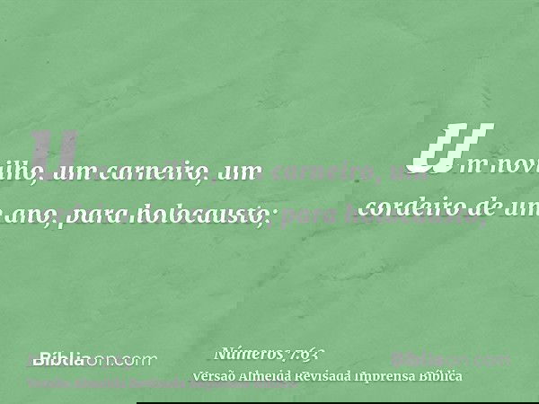 um novilho, um carneiro, um cordeiro de um ano, para holocausto;