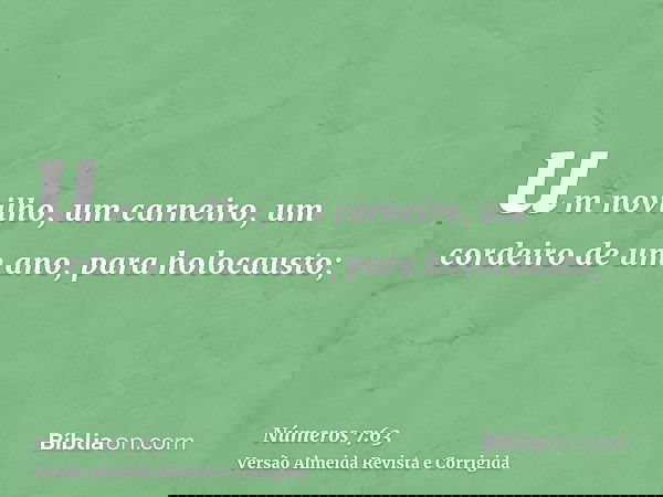um novilho, um carneiro, um cordeiro de um ano, para holocausto;