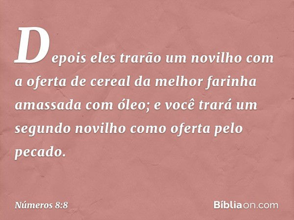 Depois eles trarão um novilho com a oferta de cereal da melhor farinha amassada com óleo; e você trará um segundo novilho como oferta pelo pecado. -- Números 8: