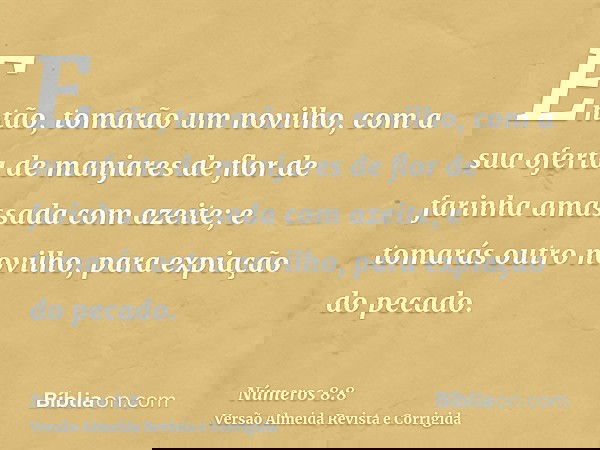 Então, tomarão um novilho, com a sua oferta de manjares de flor de farinha amassada com azeite; e tomarás outro novilho, para expiação do pecado.