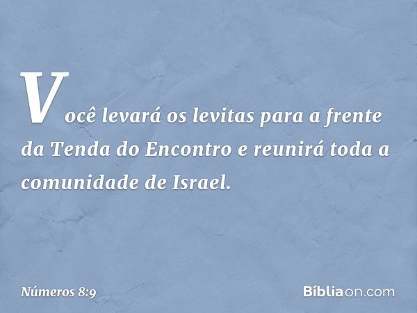 Você levará os levitas para a frente da Tenda do Encontro e reunirá toda a comunidade de Israel. -- Números 8:9