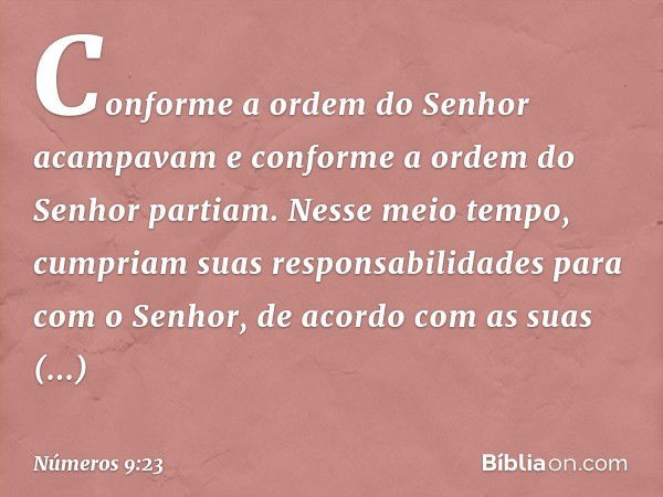 Conforme a ordem do Senhor acampavam e conforme a ordem do Senhor partiam. Nesse meio tempo, cumpriam suas responsabilidades para com o Senhor, de acordo com as