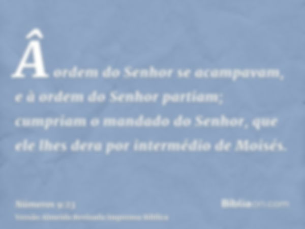 Â ordem do Senhor se acampavam, e à ordem do Senhor partiam; cumpriam o mandado do Senhor, que ele lhes dera por intermédio de Moisés.