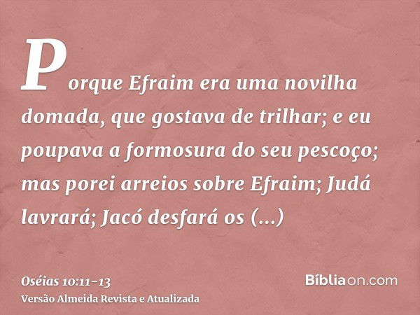 Porque Efraim era uma novilha domada, que gostava de trilhar; e eu poupava a formosura do seu pescoço; mas porei arreios sobre Efraim; Judá lavrará; Jacó desfar