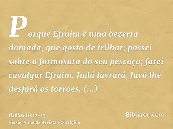 Porque Efraim é uma bezerra domada, que gosta de trilhar; passei sobre a formosura do seu pescoço; farei cavalgar Efraim. Judá lavrará, Jacó lhe desfará os torr