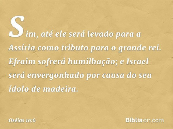 Sim, até ele será levado para a Assíria
como tributo para o grande rei.
Efraim sofrerá humilhação;
e Israel será envergonhado
por causa do seu ídolo de madeira.