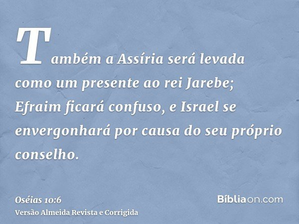 Também a Assíria será levada como um presente ao rei Jarebe; Efraim ficará confuso, e Israel se envergonhará por causa do seu próprio conselho.