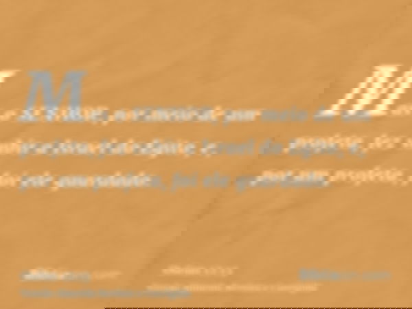 Mas o SENHOR, por meio de um profeta, fez subir a Israel do Egito, e, por um profeta, foi ele guardado.