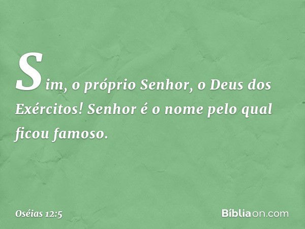 Sim, o próprio Senhor,
o Deus dos Exércitos!
Senhor é o nome
pelo qual ficou famoso. -- Oséias 12:5