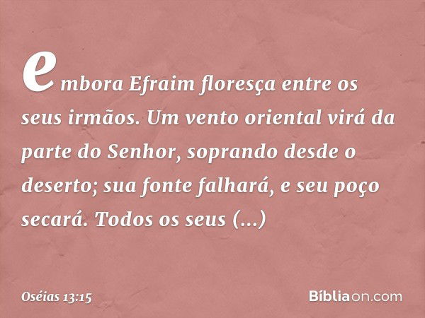 embora Efraim floresça
entre os seus irmãos.
Um vento oriental virá
da parte do Senhor,
soprando desde o deserto;
sua fonte falhará,
e seu poço secará.
Todos os