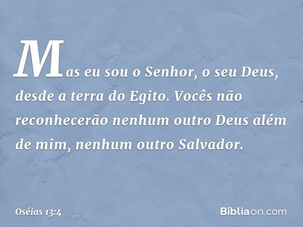 "Mas eu sou o Senhor, o seu Deus,
desde a terra do Egito.
Vocês não reconhecerão
nenhum outro Deus além de mim,
nenhum outro Salvador. -- Oséias 13:4