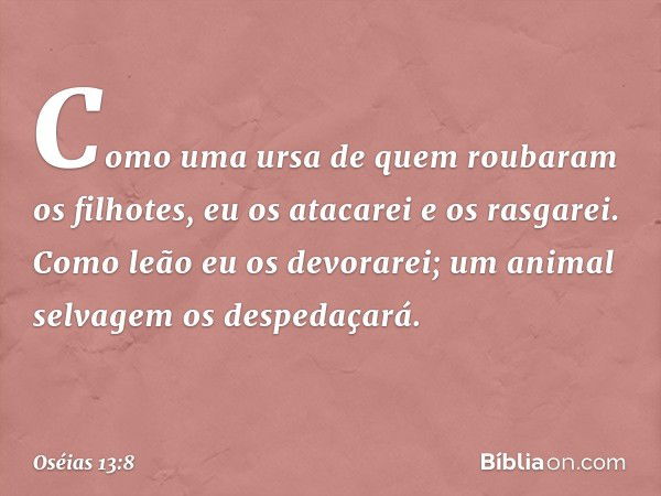 Como uma ursa
de quem roubaram os filhotes,
eu os atacarei e os rasgarei.
Como leão eu os devorarei;
um animal selvagem os despedaçará. -- Oséias 13:8