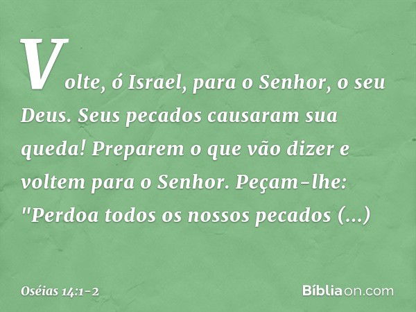 Volte, ó Israel,
para o Senhor, o seu Deus.
Seus pecados causaram sua queda! Preparem o que vão dizer
e voltem para o Senhor.
Peçam-lhe:
"Perdoa todos os nossos