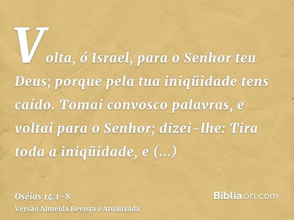 Volta, ó Israel, para o Senhor teu Deus; porque pela tua iniqüidade tens caído.Tomai convosco palavras, e voltai para o Senhor; dizei-lhe: Tira toda a iniqüidad