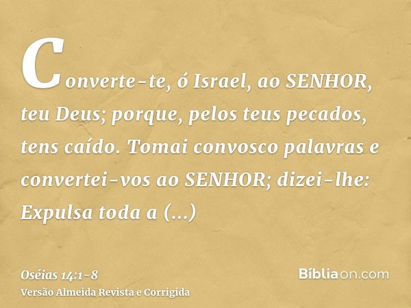 Converte-te, ó Israel, ao SENHOR, teu Deus; porque, pelos teus pecados, tens caído.Tomai convosco palavras e convertei-vos ao SENHOR; dizei-lhe: Expulsa toda a 