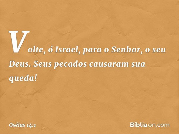 Volte, ó Israel,
para o Senhor, o seu Deus.
Seus pecados causaram sua queda! -- Oséias 14:1