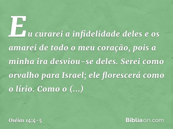 "Eu curarei a infidelidade deles
e os amarei de todo o meu coração,
pois a minha ira desviou-se deles. Serei como orvalho para Israel;
ele florescerá como o lír