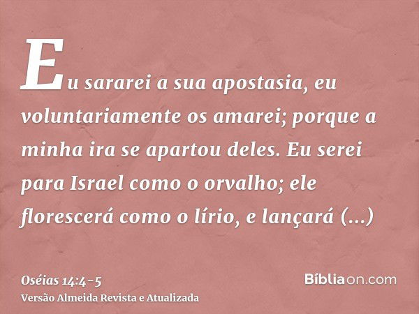 Eu sararei a sua apostasia, eu voluntariamente os amarei; porque a minha ira se apartou deles.Eu serei para Israel como o orvalho; ele florescerá como o lírio, 