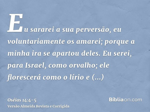 Eu sararei a sua perversão, eu voluntariamente os amarei; porque a minha ira se apartou deles.Eu serei, para Israel, como orvalho; ele florescerá como o lírio e