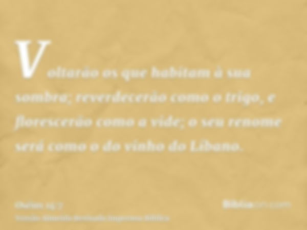 Voltarão os que habitam à sua sombra; reverdecerão como o trigo, e florescerão como a vide; o seu renome será como o do vinho do Líbano.