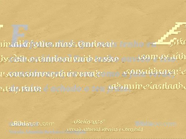 Efraim dirá: Que mais tenho eu com os ídolos? Eu o tenho ouvido e isso considerarei; eu sou como a faia verde; de mim é achado o teu fruto.