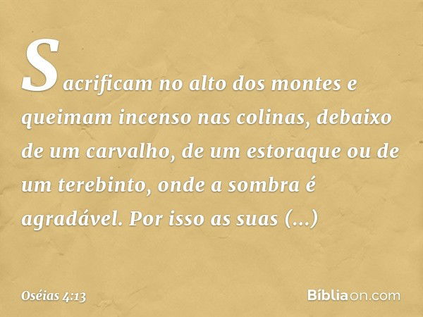 Sacrificam no alto dos montes
e queimam incenso nas colinas,
debaixo de um carvalho,
de um estoraque
ou de um terebinto,
onde a sombra é agradável.
Por isso as 