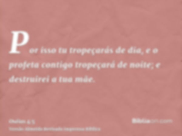 Por isso tu tropeçarás de dia, e o profeta contigo tropeçará de noite; e destruirei a tua mãe.