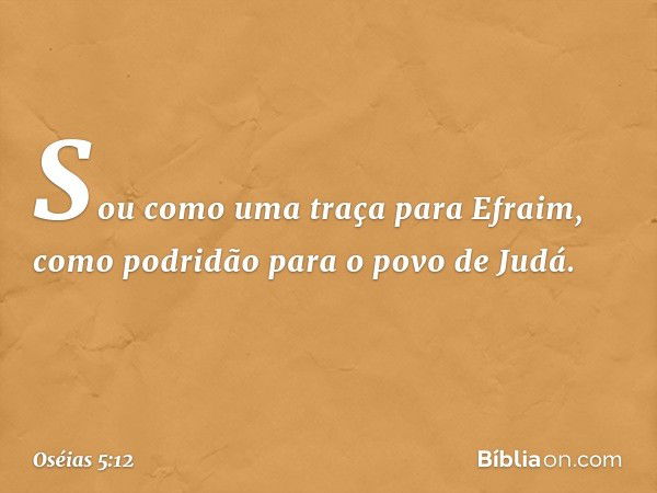 Sou como uma traça para Efraim,
como podridão para o povo de Judá. -- Oséias 5:12