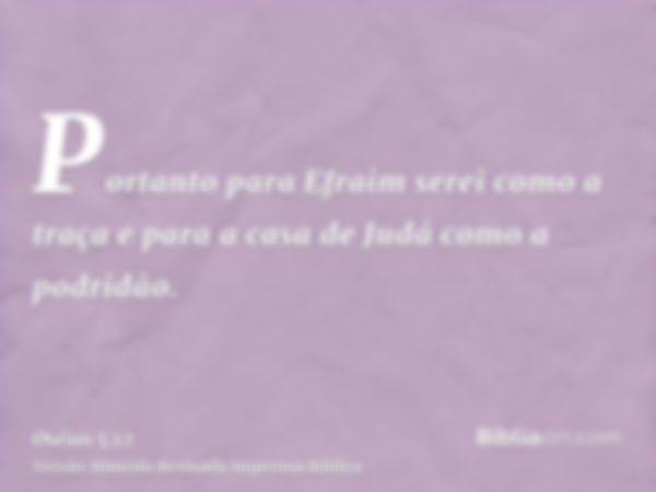 Portanto para Efraim serei como a traça e para a casa de Judá como a podridão.