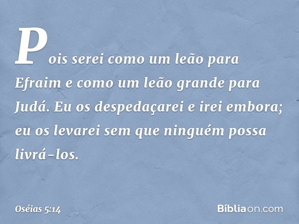 Pois serei como um leão para Efraim
e como um leão grande para Judá.
Eu os despedaçarei e irei embora;
eu os levarei
sem que ninguém possa livrá-los. -- Oséias 