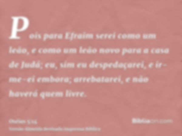 Pois para Efraim serei como um leão, e como um leão novo para a casa de Judá; eu, sim eu despedaçarei, e ir-me-ei embora; arrebatarei, e não haverá quem livre.