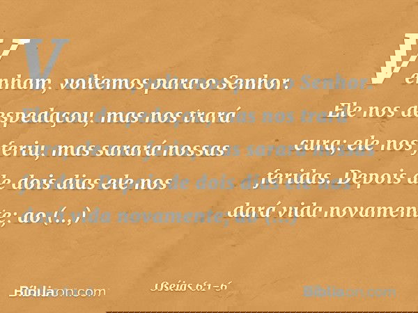 "Venham, voltemos para o Senhor.
Ele nos despedaçou,
mas nos trará cura;
ele nos feriu,
mas sarará nossas feridas. Depois de dois dias
ele nos dará vida novamen