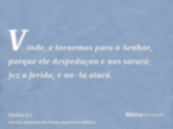 Vinde, e tornemos para o Senhor, porque ele despedaçou e nos sarará; fez a ferida, e no-la atará.