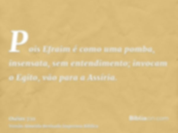 Pois Efraim é como uma pomba, insensata, sem entendimento; invocam o Egito, vão para a Assíria.