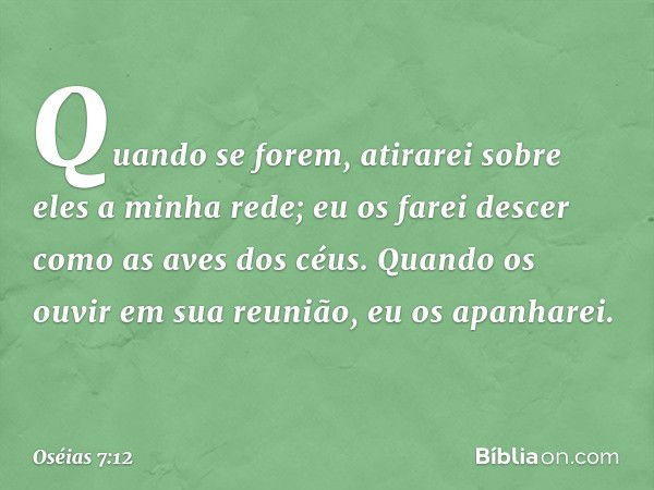 Quando se forem,
atirarei sobre eles a minha rede;
eu os farei descer como as aves dos céus.
Quando os ouvir em sua reunião,
eu os apanharei. -- Oséias 7:12